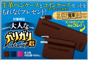 大人なガリグッズ当る