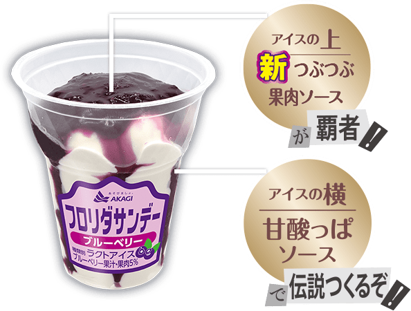 フロリダサンデー ブルーベリー