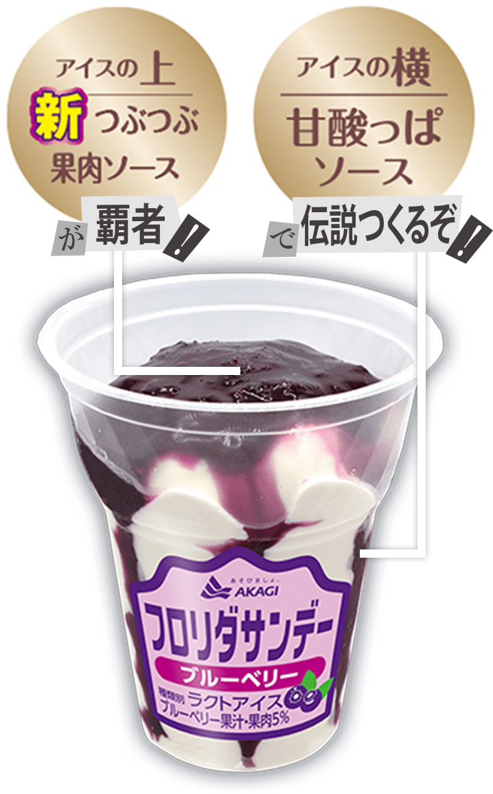 フロリダサンデー ブルーベリー