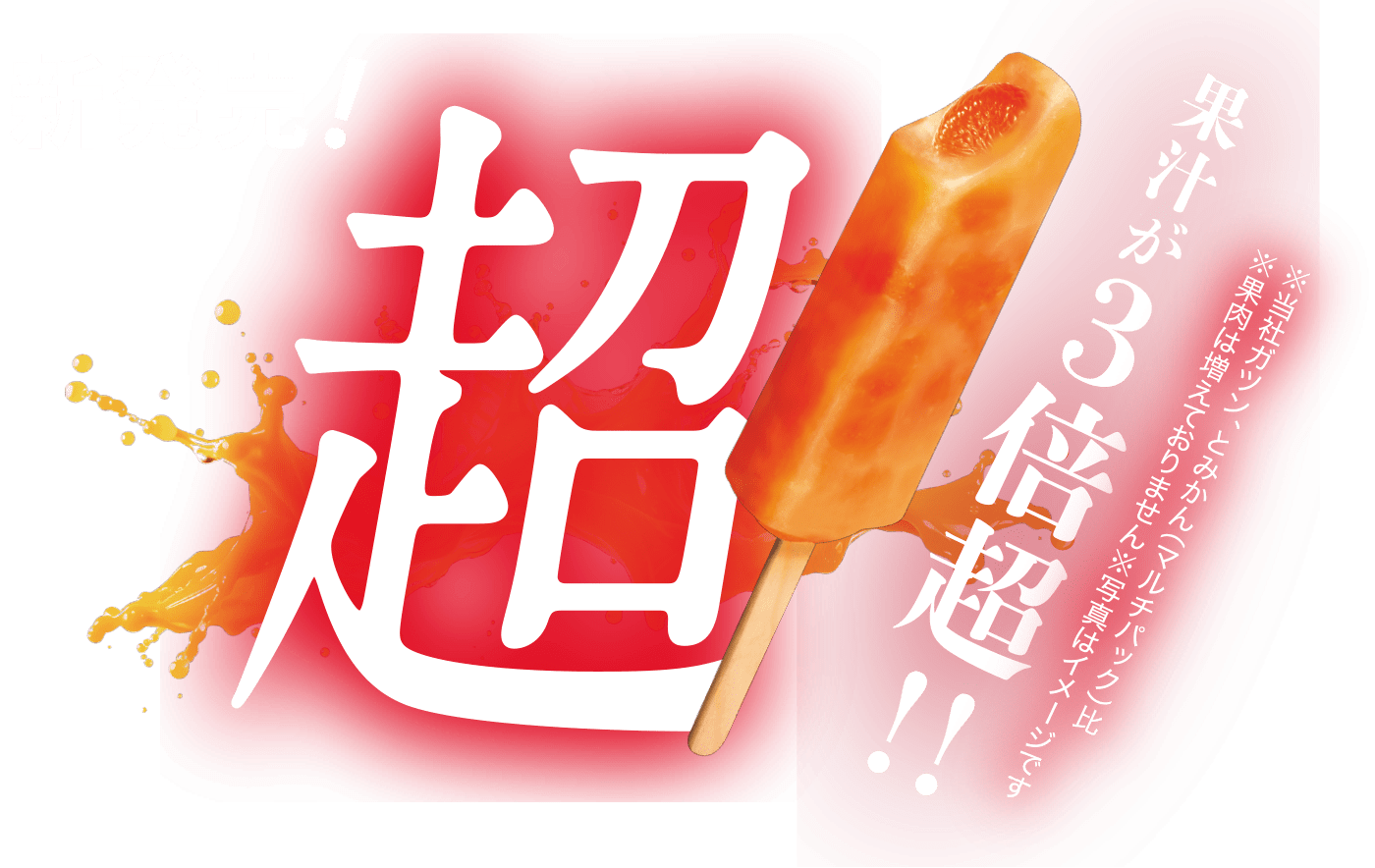 帰ってきた！