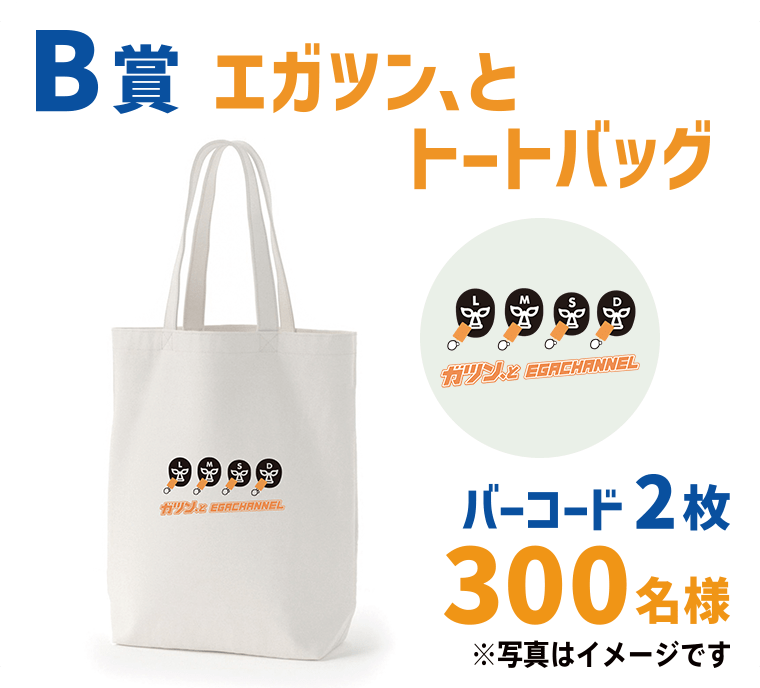 【B賞（2枚応募コース）】「エガツン、とマフラータオル」100名様