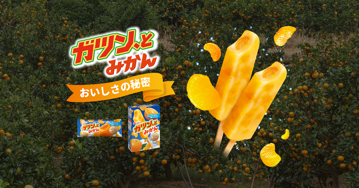 ガツン、とみかん おいしさの秘密｜赤城乳業株式会社