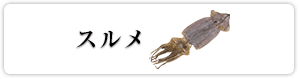 スルメ