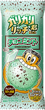 ガリガリ君リッチ チョコミント