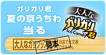 大人なガリグッズ当る