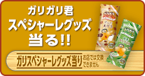 ガリガリ君 スペシャーレグッズ当る