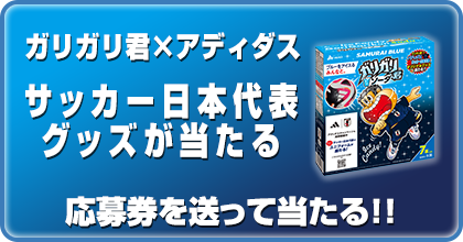 【数量限定商品】<br>ガリガリ君×アディダス サッカー日本代表 オリジナルグッズ当たる