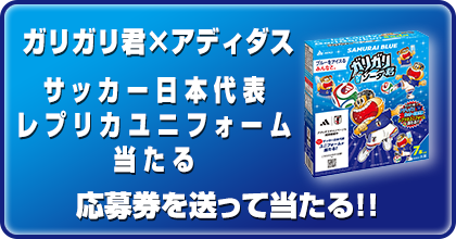 AKAGI ロゴ入り ガリガリ君 当たり棒2本 btn.png