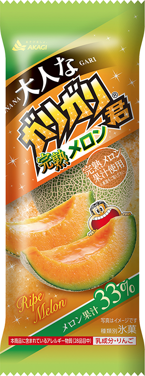 大人なガリガリ君 完熟メロン（スティック）