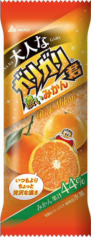大人なガリガリ君 濃いみかん（スティック）