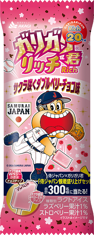 ガリガリ君リッチ サクラ咲くダブルベリーチョコ味（スティック）