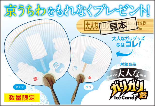 大人なガリグッズ当る