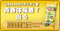 GReeeeN×ガリガリ君 青春体操着T当る