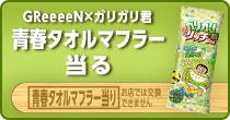 GReeeeN×ガリガリ君 青春タオルマフラー当る