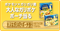 【数量限定商品】<br>ポケモン×ガリガリ君 大人なガリポケポーチ当る