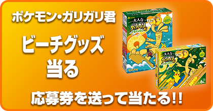 【数量限定商品】<br>ポケモン・ガリガリ君 ビーチグッズが当たる