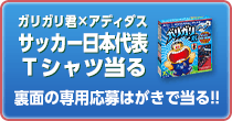 ガリガリ君×アディダス サッカー 日本代表Tシャツ当る