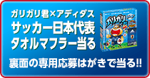 ガリガリ君×アディダス サッカー日本代表 タオルマフラー当る