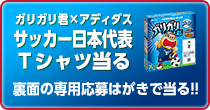 ガリガリ君×アディダス 2018 サッカー日本代表Tシャツ当たる