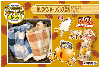 ガリガリ君 スペシャーレグッズ当る