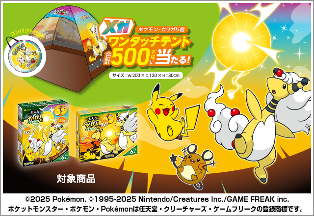 「ポケモン・ガリガリ君ビーチグッズ」当たるキャンペーン