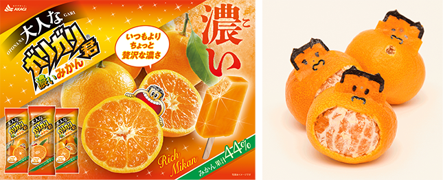 みかん果汁44%使用の本格的な美味しさ！｜赤城乳業株式会社