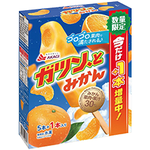 ガツン、と みかん（一本増量）（箱）