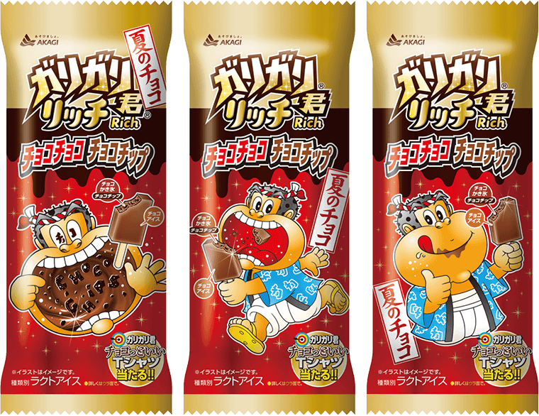 ガリガリ君リッチチョコチョコチョコチップ 棒 商品情報 赤城乳業株式会社