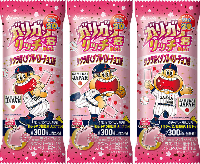 ガリガリ君リッチ サクラ咲くダブルベリーチョコ味（スティック）