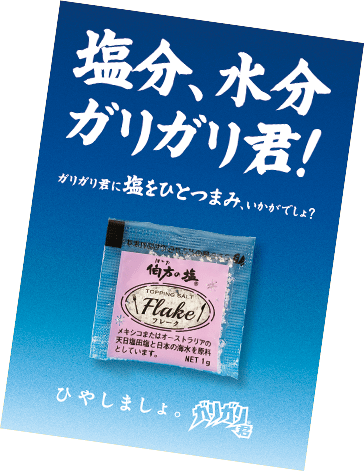 塩分、水分ガリガリ君！ トッピングソルト