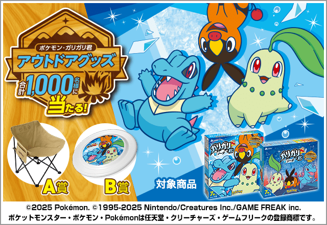 「ポケモン・ガリガリ君 アウトドアグッズ」当たるキャンペーン